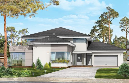 House plan Luxary - front visualization