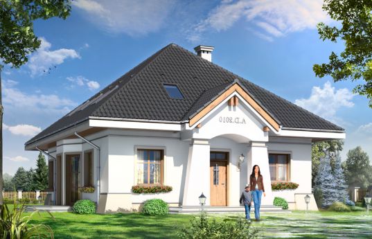 House plan Prank - front visualization 